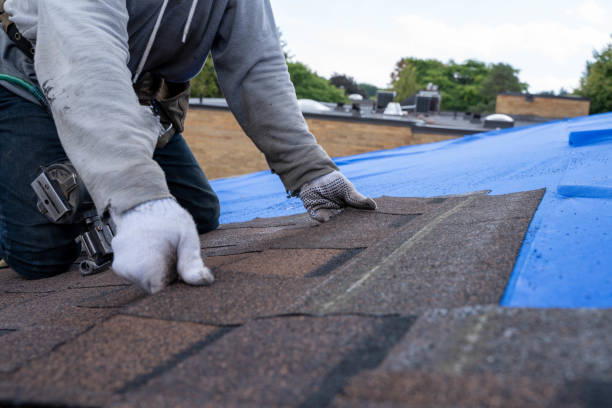 Best Roof Waterproofing Services  in Sparta, IL