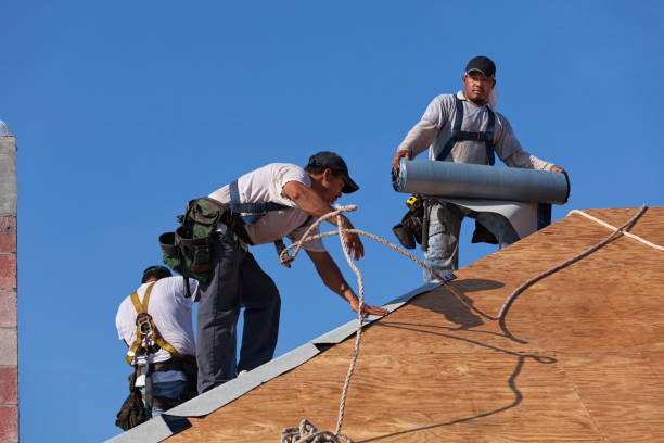 Best Gutter Installation and Roofing  in Sparta, IL